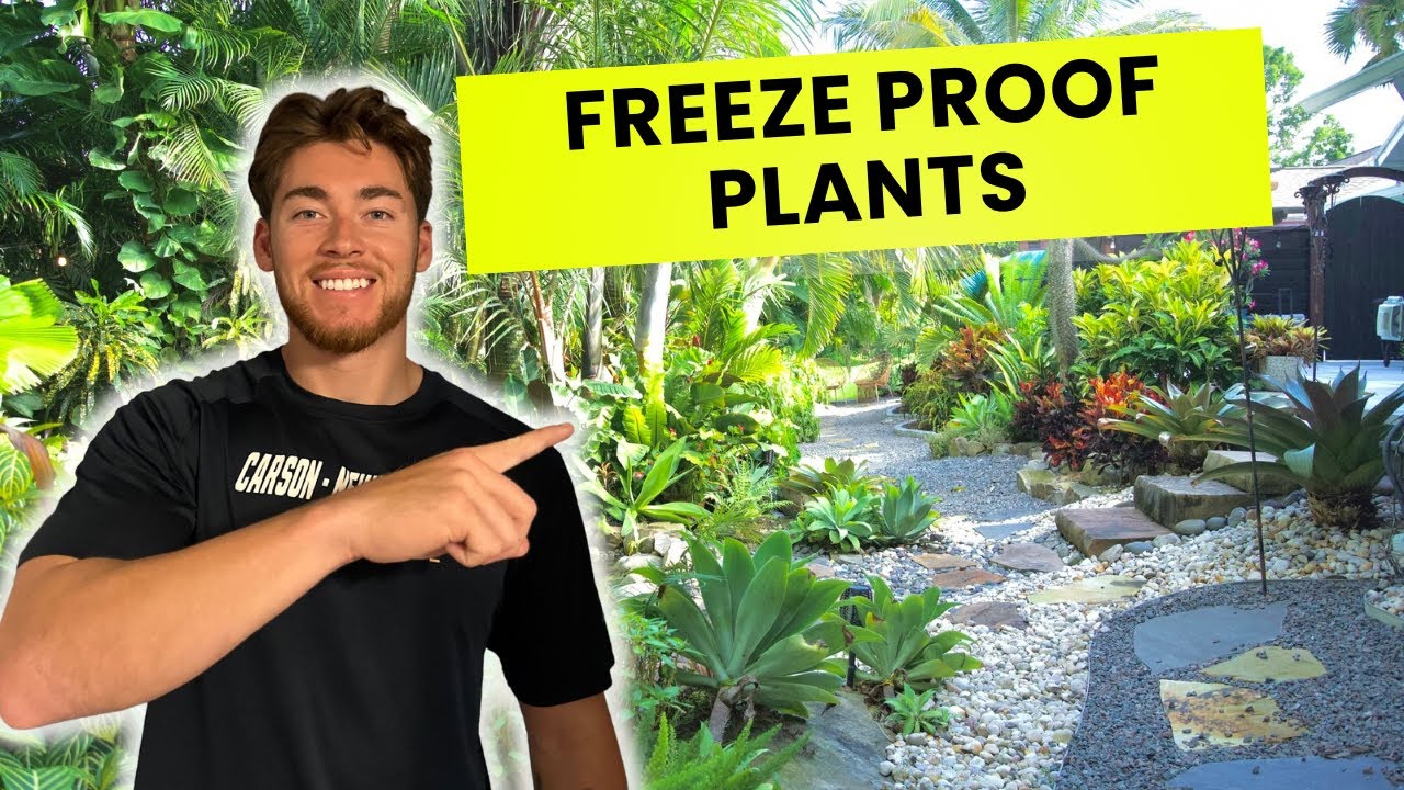 If Your Plants Died in the Freeze… Replace Them With THESE