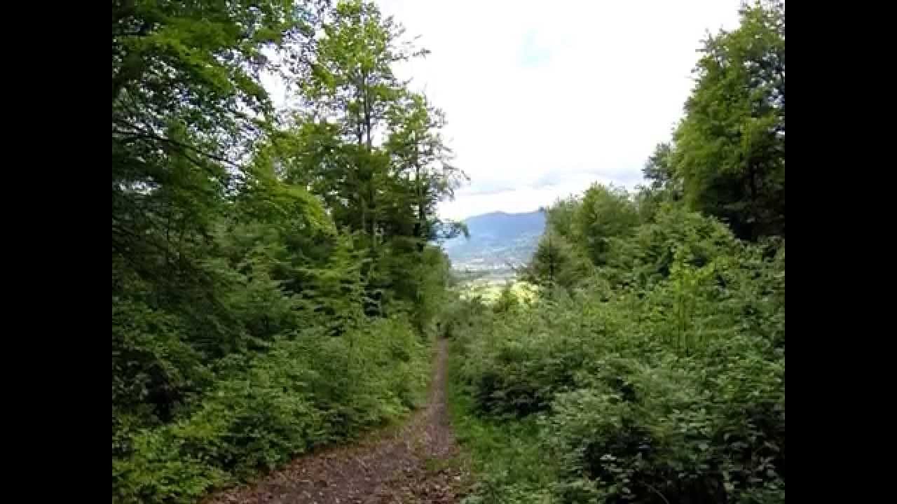 Singletrack MTB Alps - Samoens