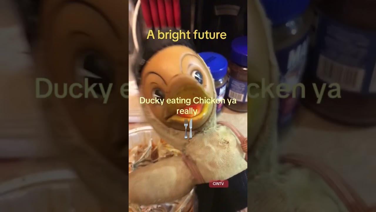 Duck eats Chicken 