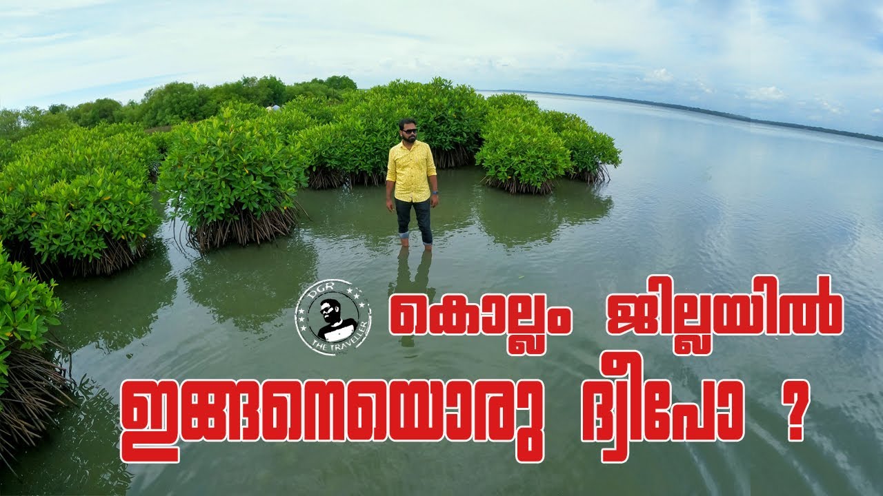 MARYLAND MANGROVE ISLAND KOLLAM II SAKTHIKULANGARA II ISLAND IN KOLLAM DISTRICT
