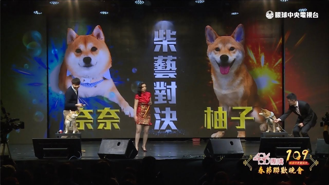【央視春晚】柚子、奈奈拚才藝 吳怡農頒獎 農夫農婦求當狗｜眼球中央電視台 ft. 柴犬奈奈與阿楞的一天 吳怡農