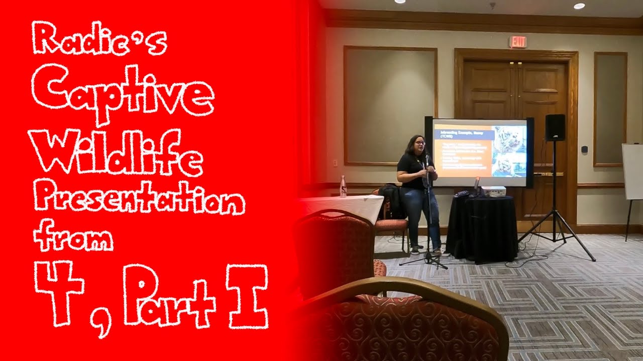 Radic’s Captive Wildlife Presentation from 4, Part I | StratosFur 2025