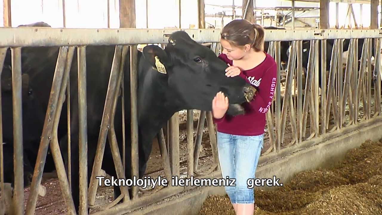 Kuzey Amerika'lı çiftçiler Afimilk sistemini anlatıyor (Türkçe Altyazılı)