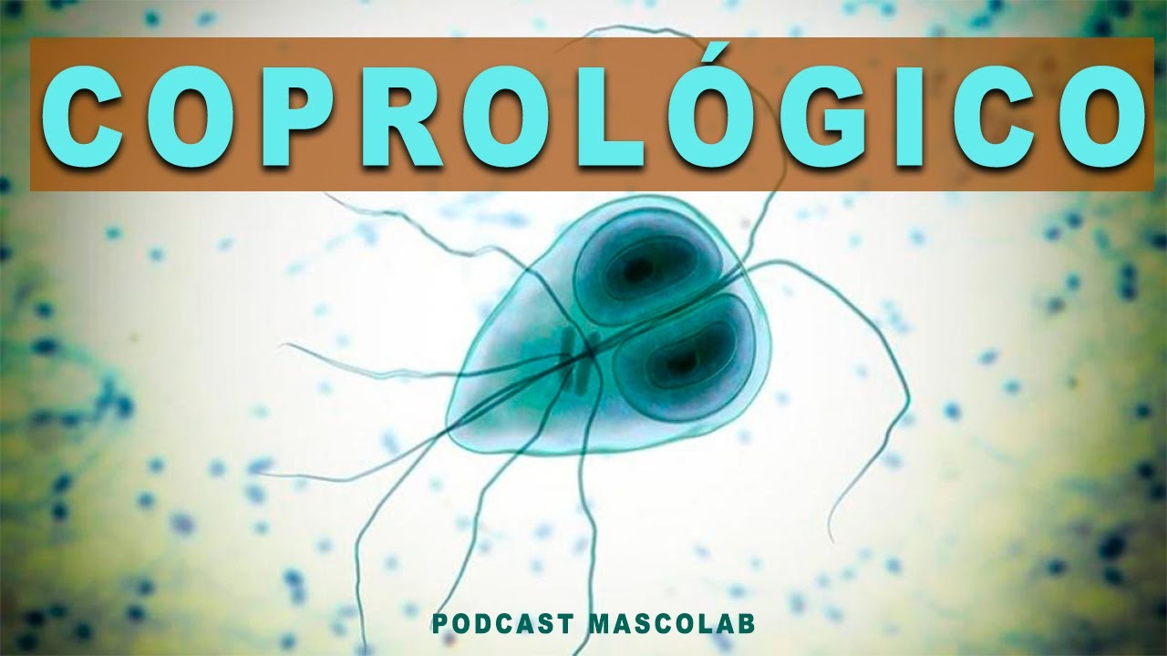 ASPECTOS CLAVES  en el Coprológico 【𝑀𝐸𝐷𝐼𝐶𝐼𝑁𝐴 𝑉𝐸𝑇𝐸𝑅𝐼𝑁𝐴𝑅𝐼𝐴】| Podcast MASCOLAB®