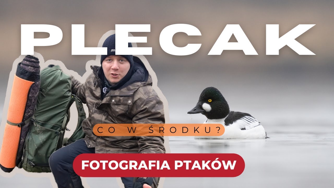 Plecak fotografa przyrody, perkozy i inne ptaki wodne
