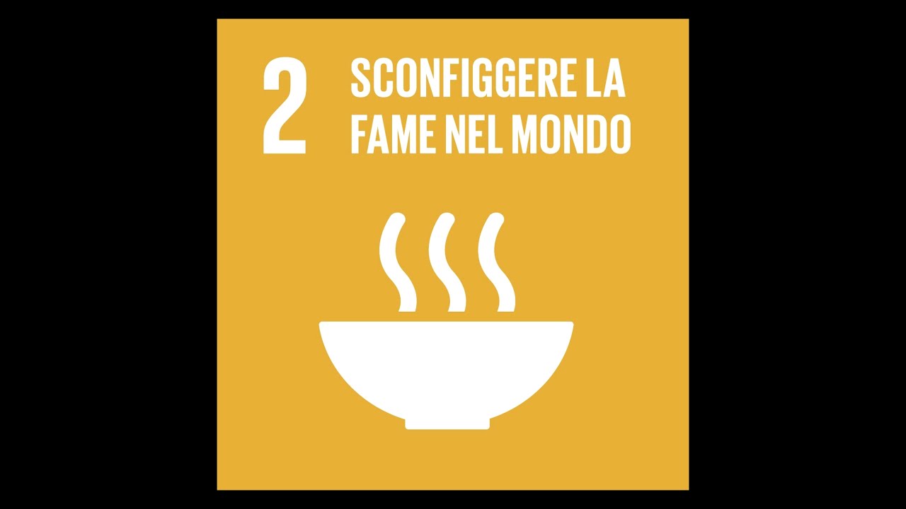 SCONFIGGERE LA FAME NEL MONDO. SDGS Studenti obiettivo 2