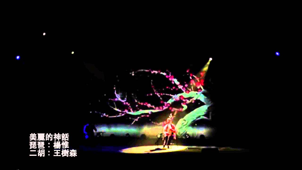 王树森Wang Shusen二胡・美麗的神話