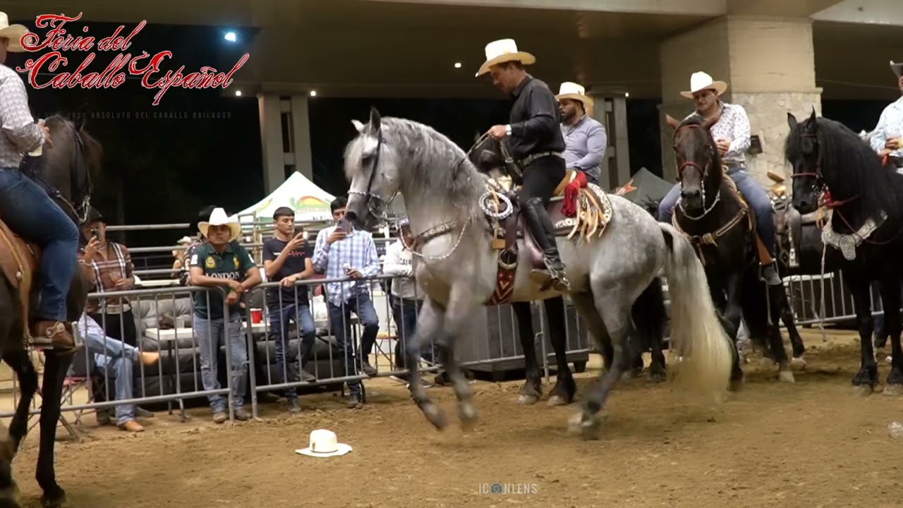 Asi se vive en La Feria del Caballo Español.