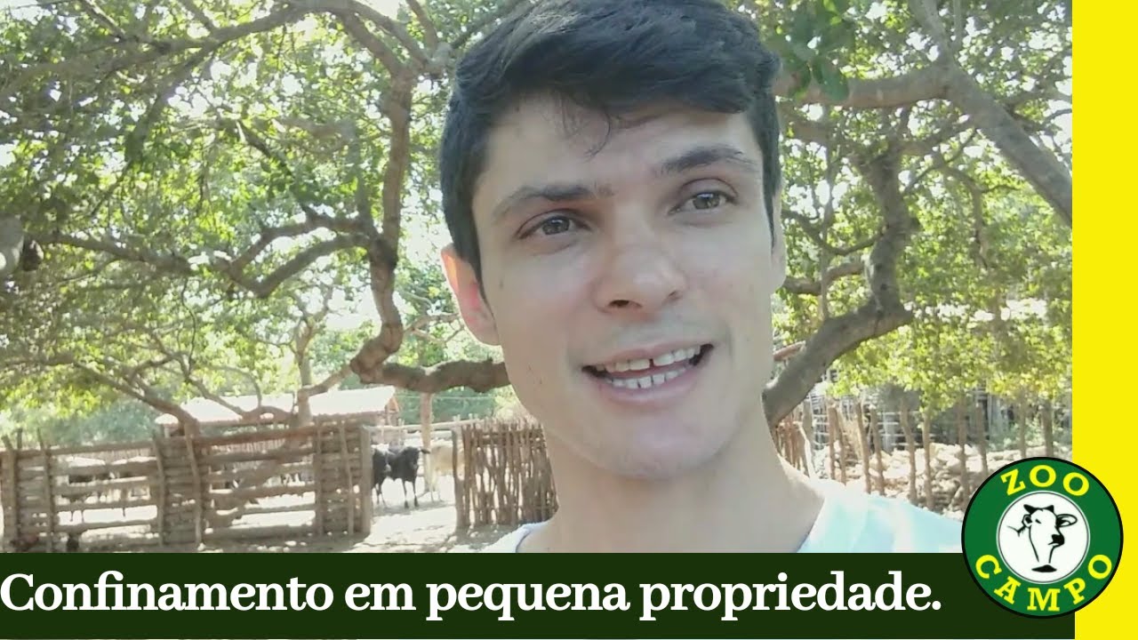 CONFINAMENTO EM PEQUENA PROPRIEDADE