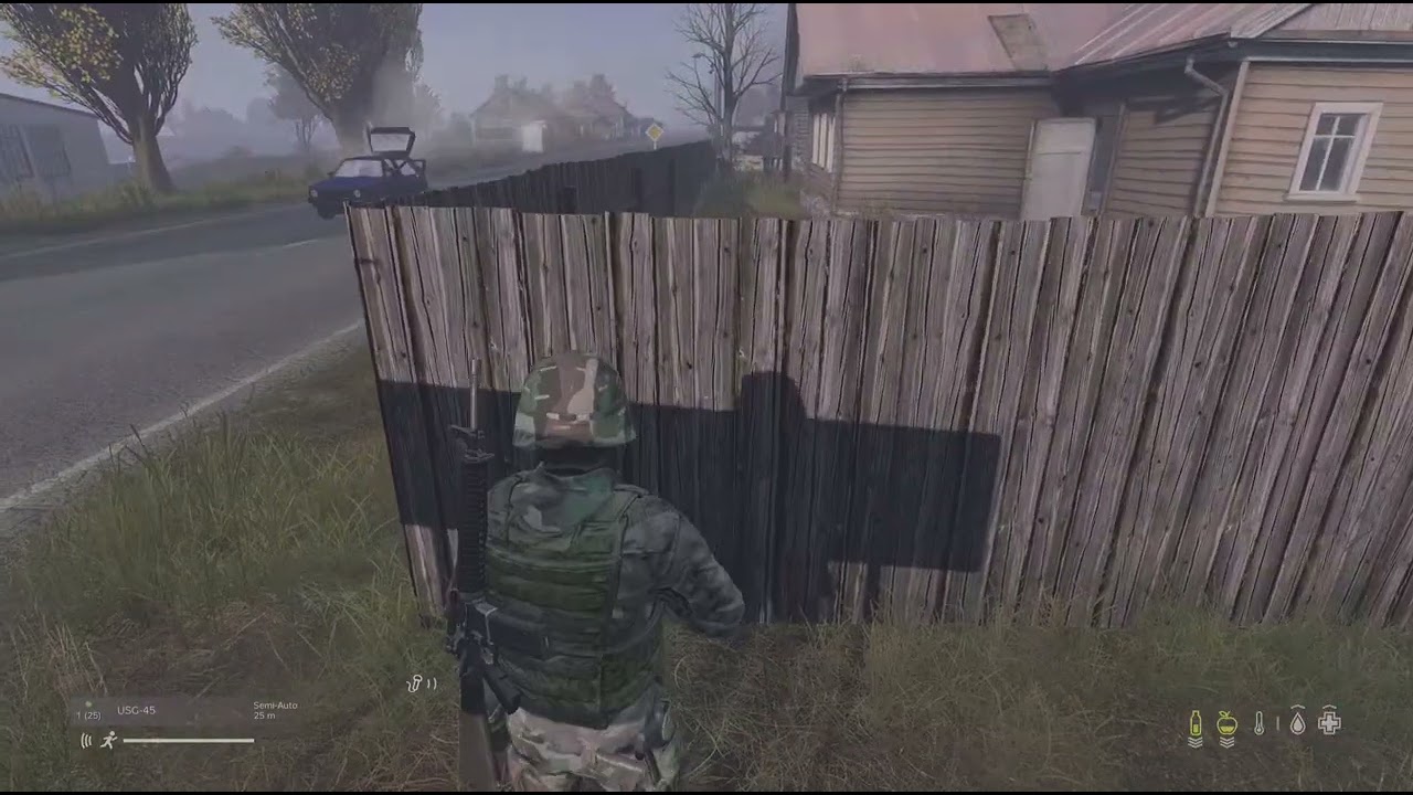 DayZ_20260217214328