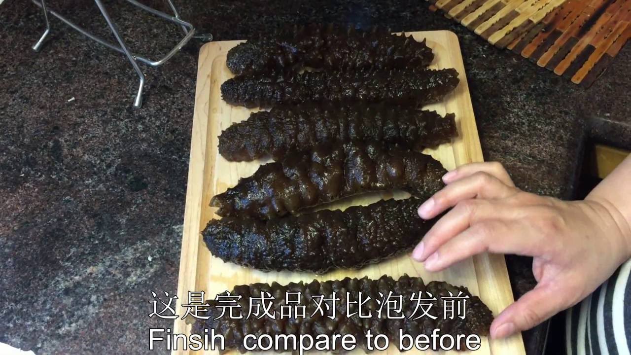 墨西哥海参泡发[完整版] &mdash;【Maybel 话你知】Mexico sea cucumber soaking method