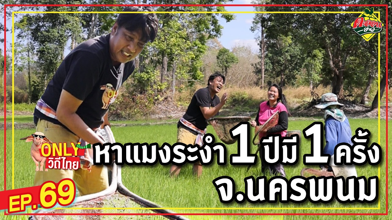 ตะลุยทุ่ง! ช้อน 