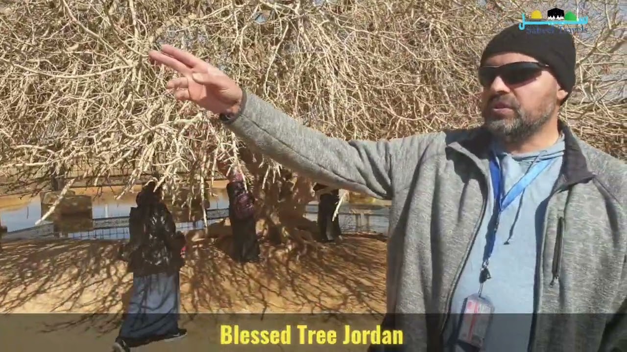 Living Sahabi Tree Jordan