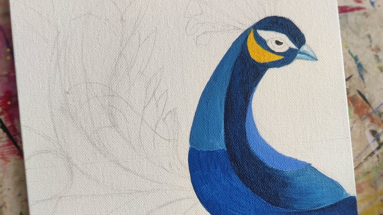 Majestic Peacock 2 