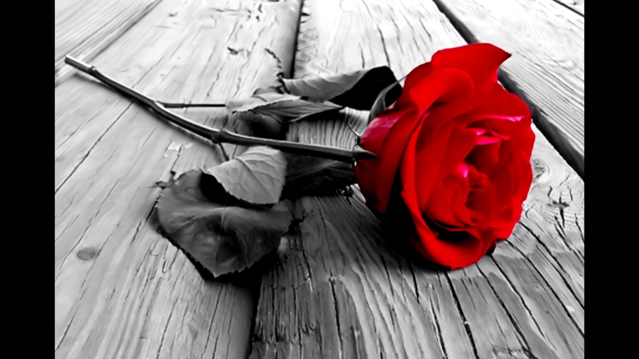 Marc Ferrari, Michael McGregor - Sing You A Love Song