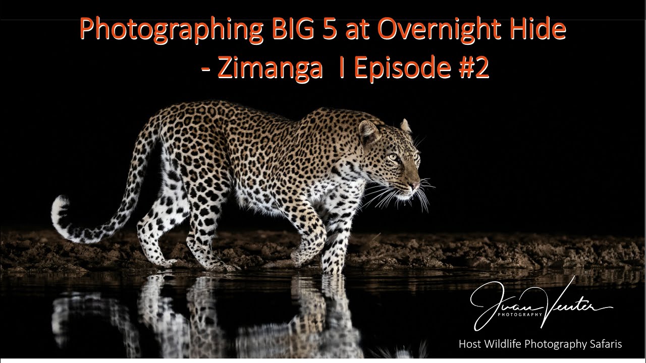 Photographing BIG 5 at Overnight Hide - Zimanga I Episode #2