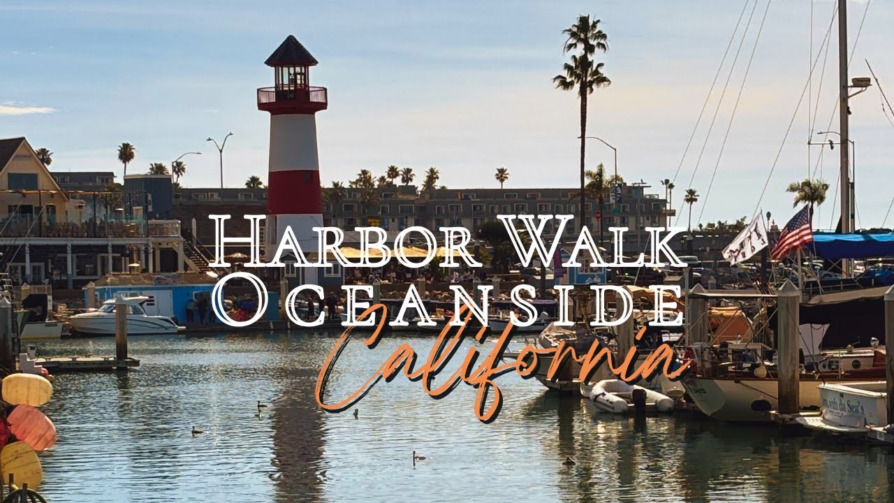 Oceanside Harbor Oceanside CA | Sea Lions + Pelicans | Relaxing Music Unrushed Moments