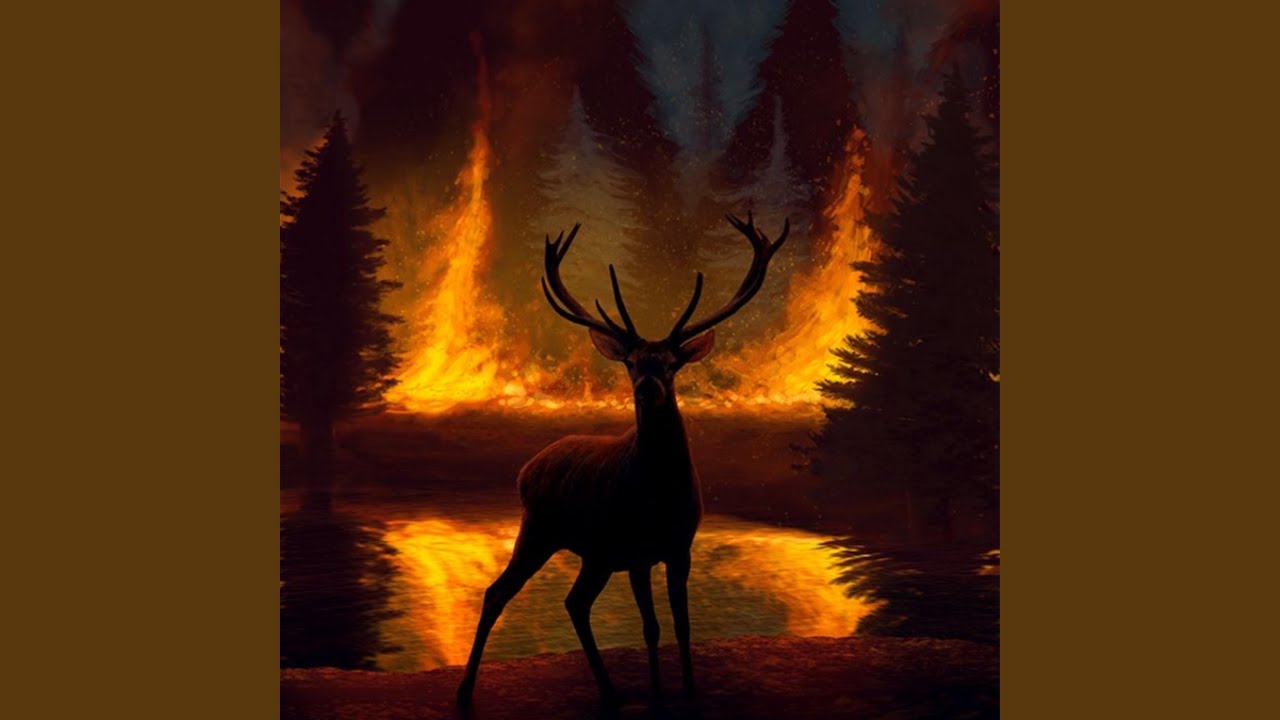Wildfire