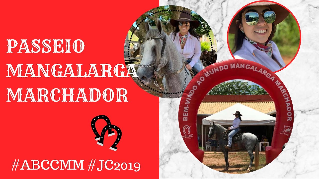 Vlog | Passeio com Mangalarga Marchador | Canal Jeito de Cowboy