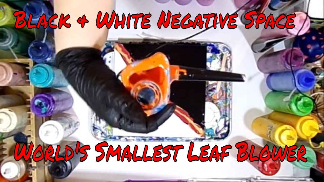 Black and White Split Canvas Mini Leaf Blower Paint Pour