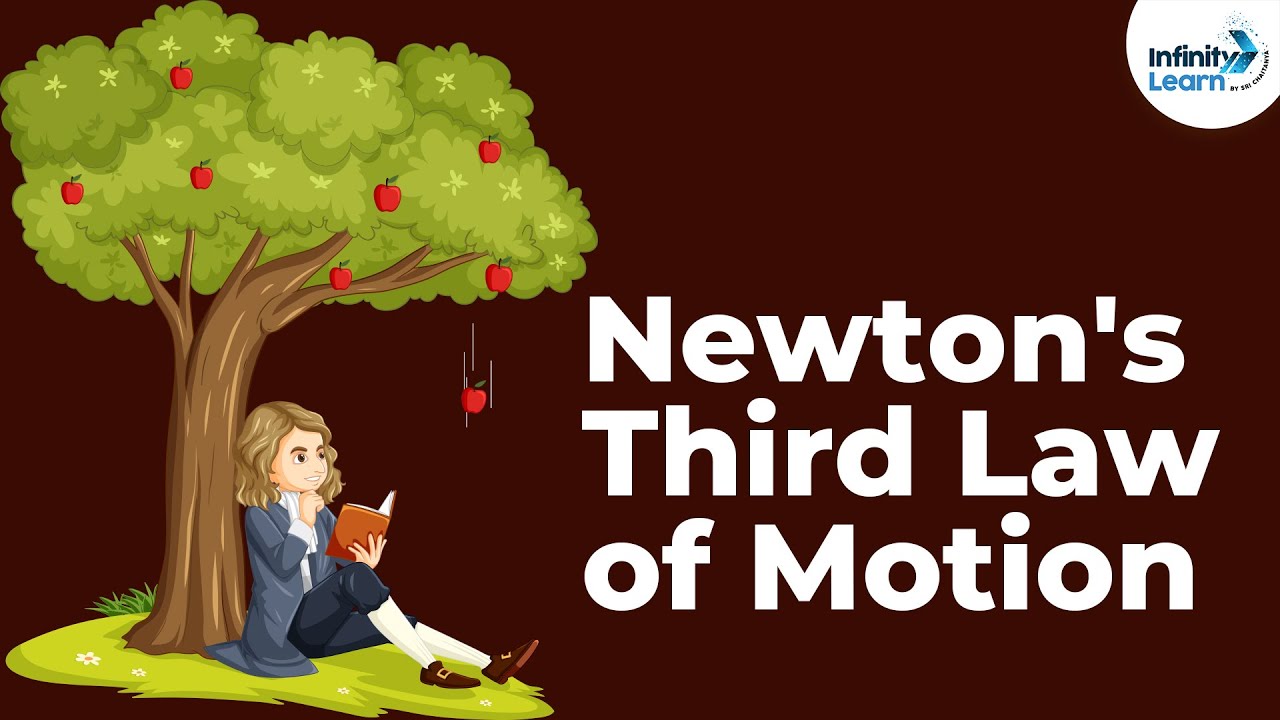 Newton's Third Law of Motion | Forces and Motion | Physics | Infinity Learn