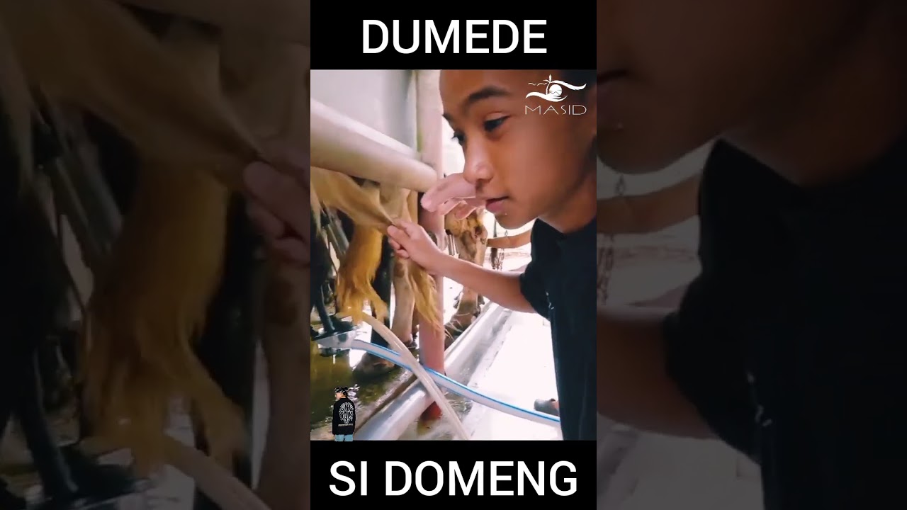 Geo Ong|DUMEDEDE PA SI DOMENG