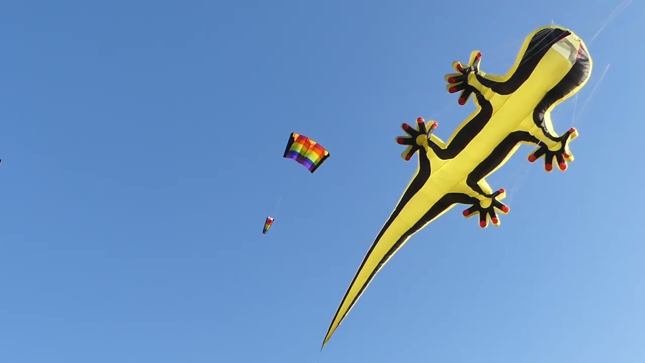 Einleiner Drachen mit leinenschmuck.(2)