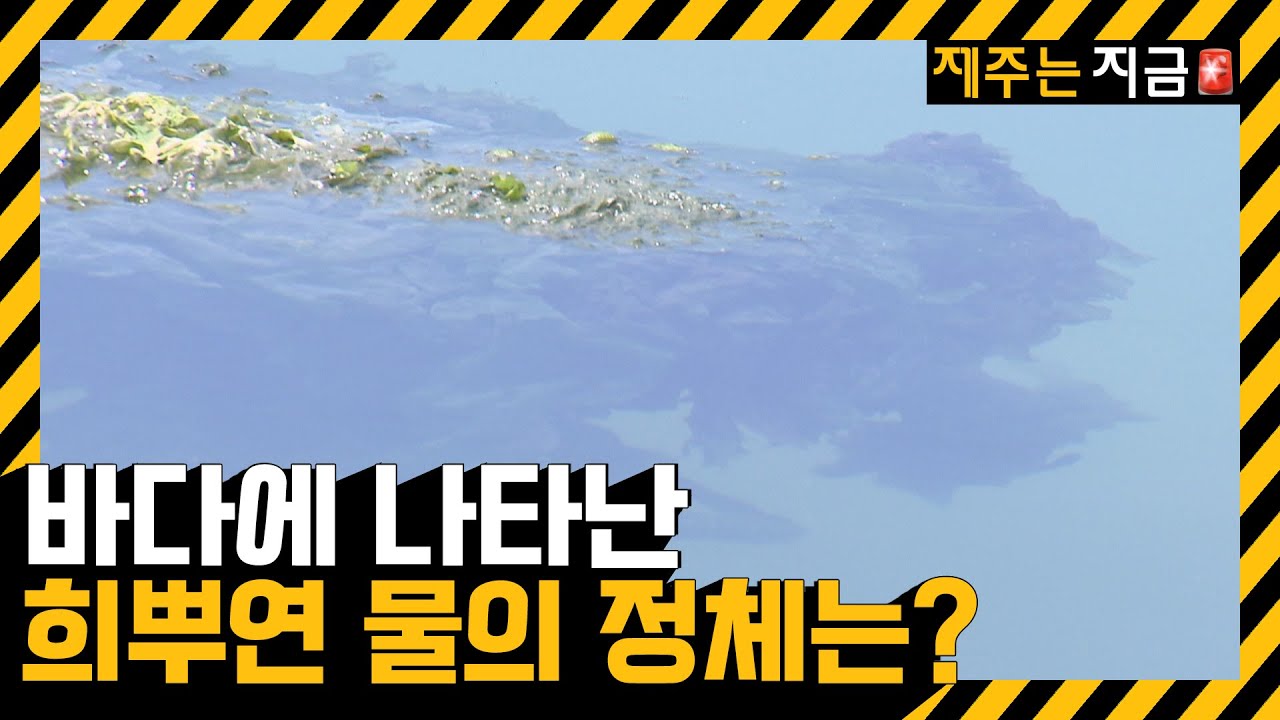 김녕 연안 뒤덮은 희뿌연 물…오염수 방류 정황 발견 / KBS  2023.06.23.