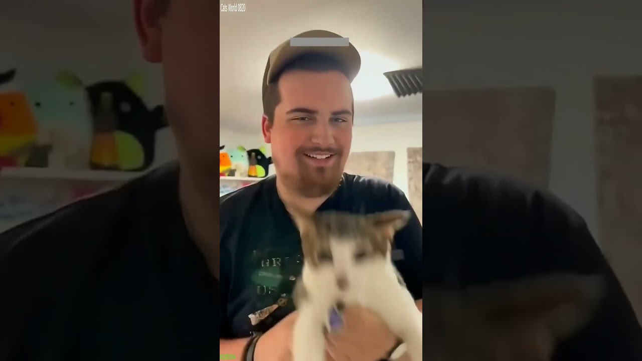 Funny Pets 😅 funny cats moments 🥰 # Episode 1620