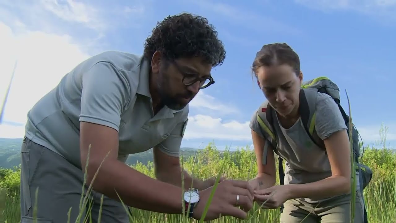 La réserve naturelle de l'Étang de Saint-Paul | Sur le terrain