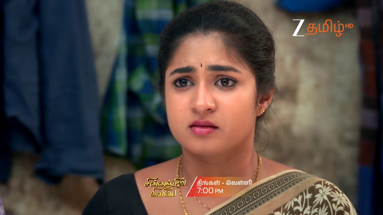 Chinna Siru Kiliye | Понедельник &ndash; Пятница, 19:00 | 22 июня | Промо | Zee Tamil