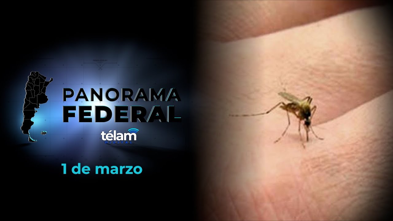 Panorama Federal: 1 de marzo