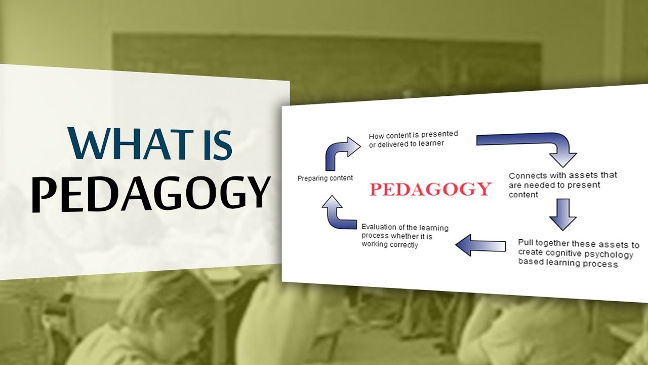 What is Pedagogy | Define Pedagogy | Pedagogy Teaching | Education