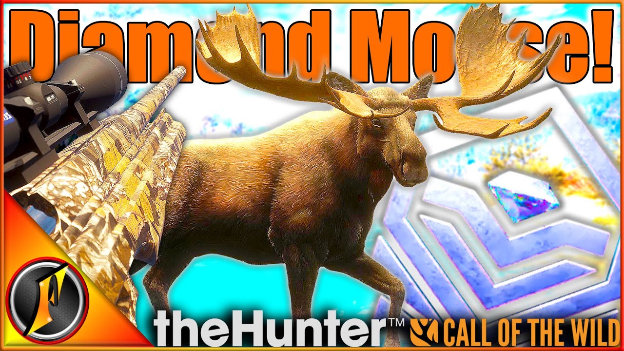 В многопользовательском режиме нам попался лось с хребта Аски-Ридж! | theHunter Зов дикой природы