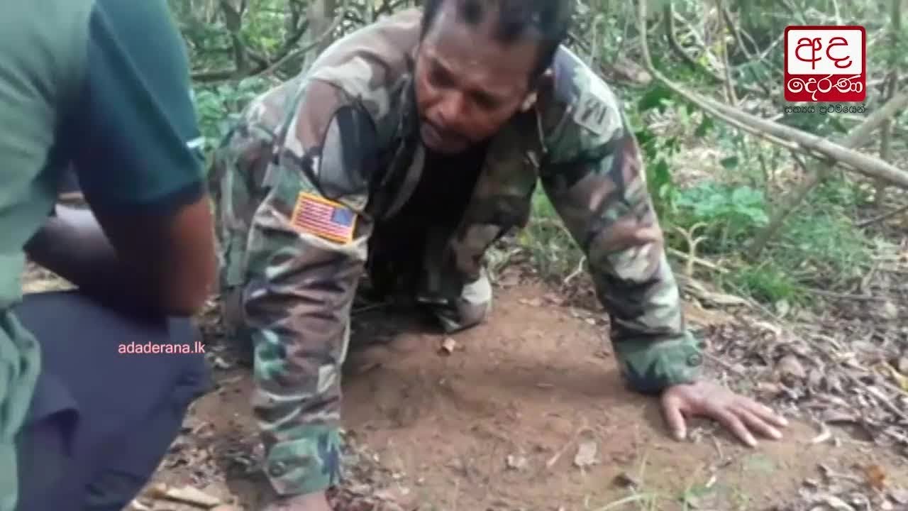 Missing tusker 'Deegadanthu' found in Pallekele forest reserve