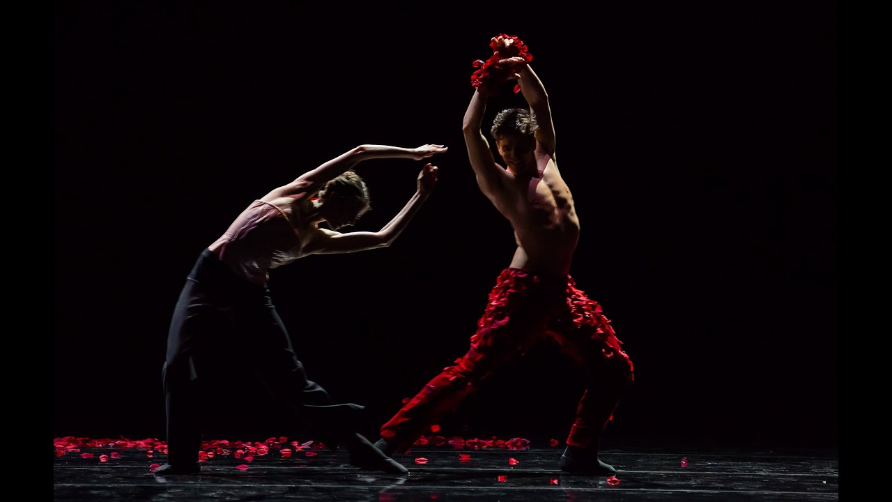 Spectre de la Rose