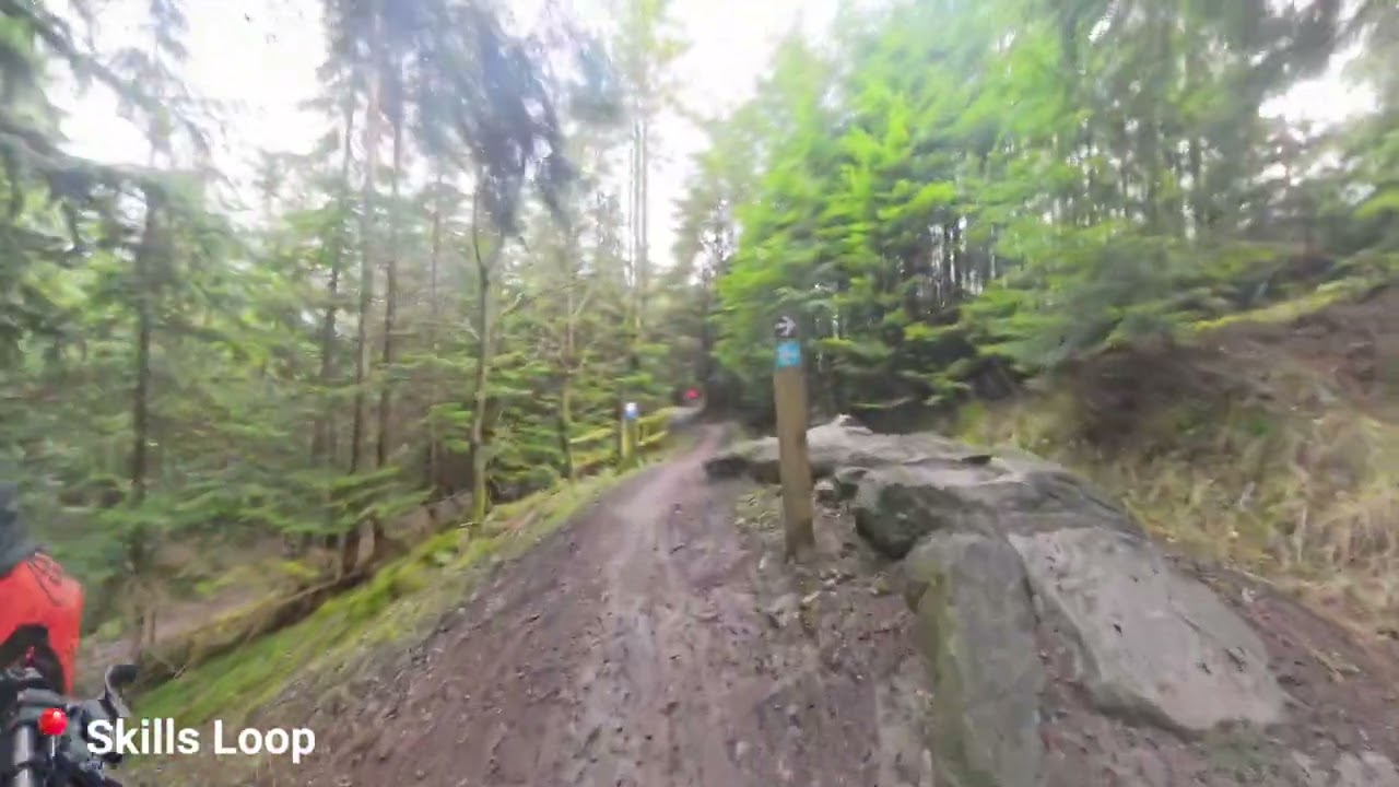 Hamsterley Forest Mountain Bike -  Blue Skills Loop