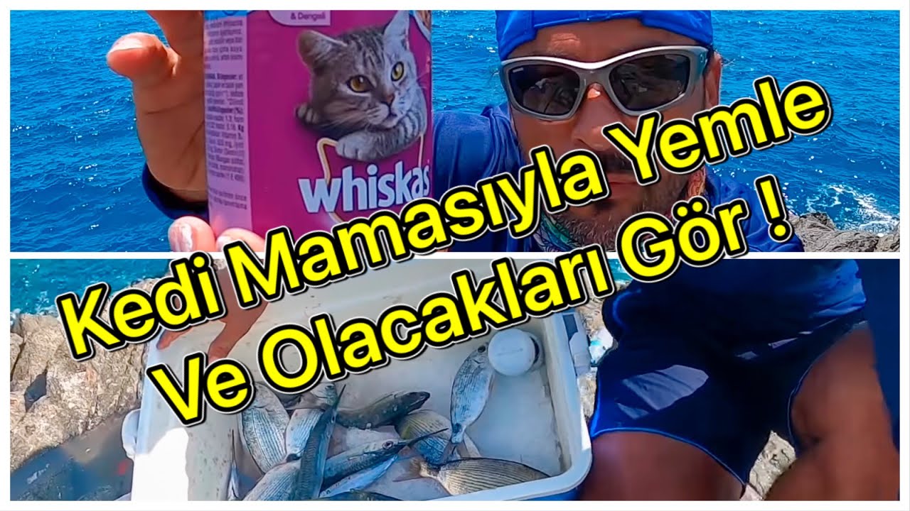 #reklamdeğildir