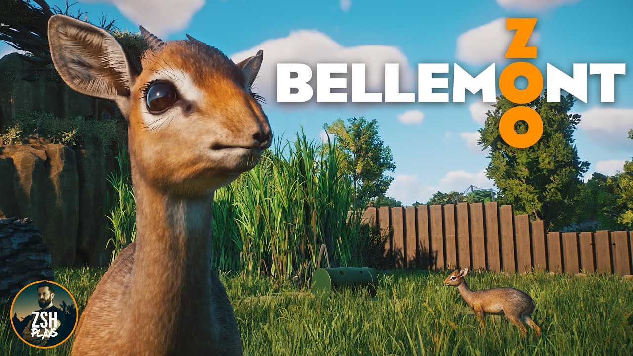 Building a Little Habitat with a BIG View! | Bellemont Zoo