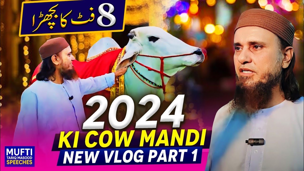 New Cow Mandi Vlog 2024 Part -1 | Mufti Tariq Masood Speeches 🕋