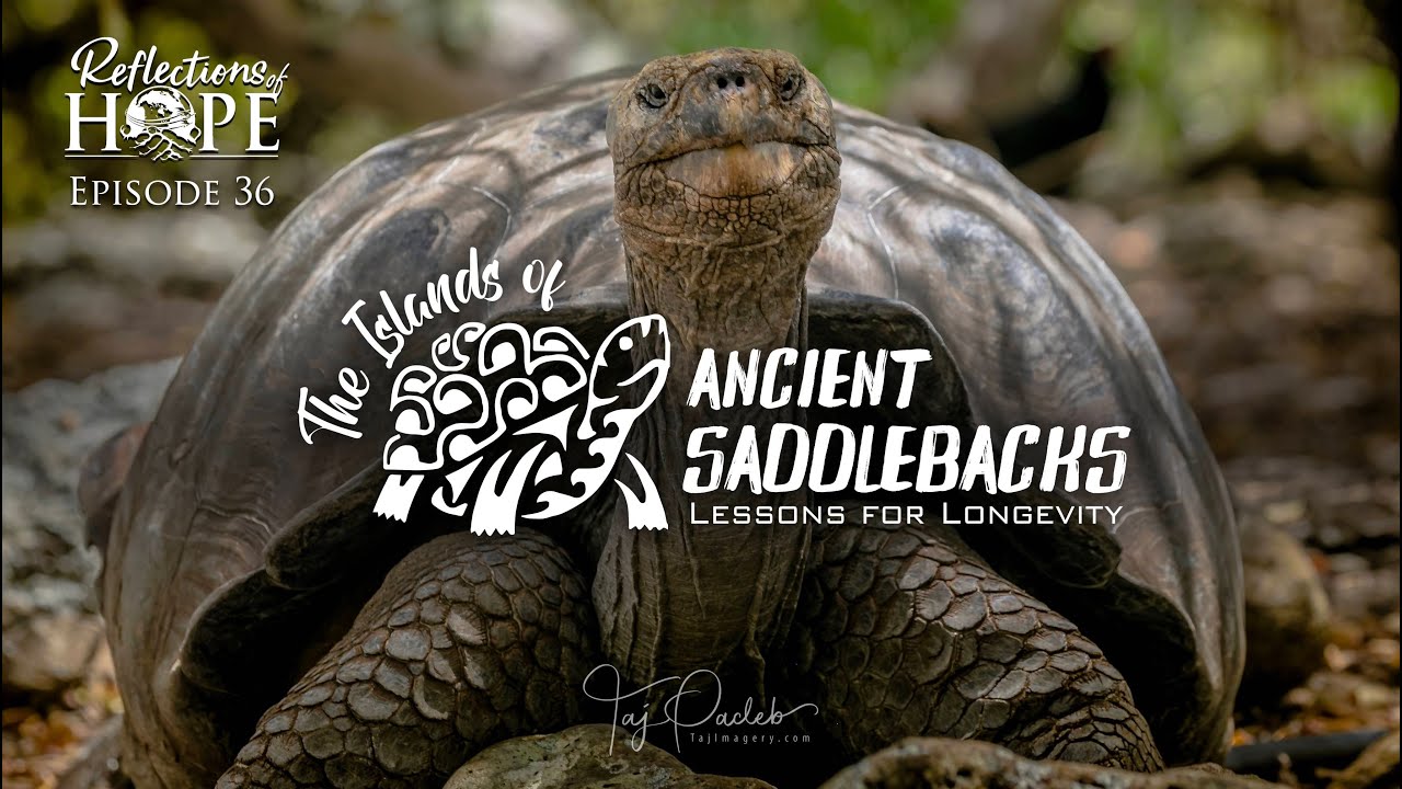 Reflections of Hope Episode 36: Islands of Ancient Saddlebacks | Taj Pacleb