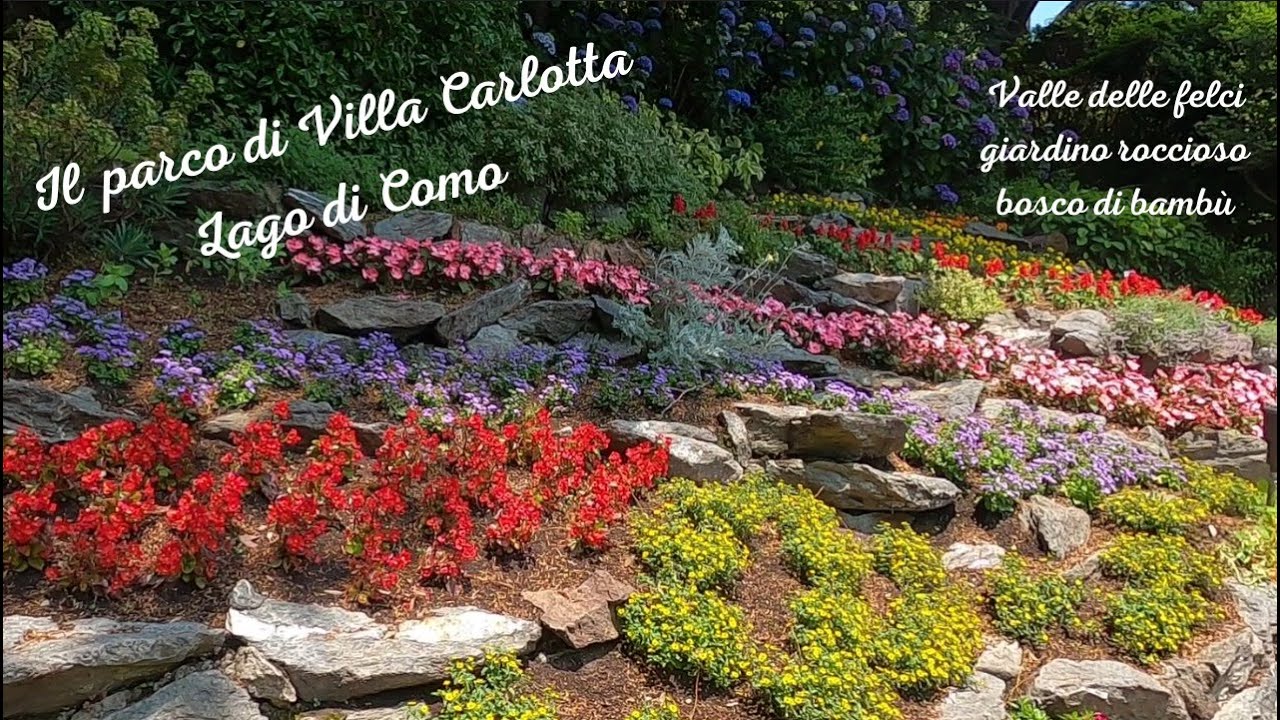 Parco di Villa Carlotta (seconda parte) - Park of Villa Carlotta - Lago di Como