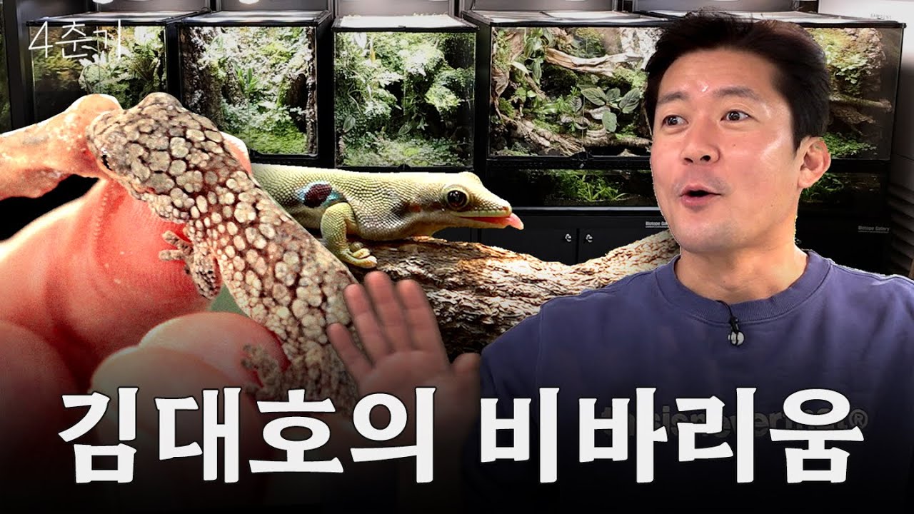 ※내셔널지오그래픽 아님... 파브르 김대호의 비바리움 보수공사 / 4춘기 EP.48