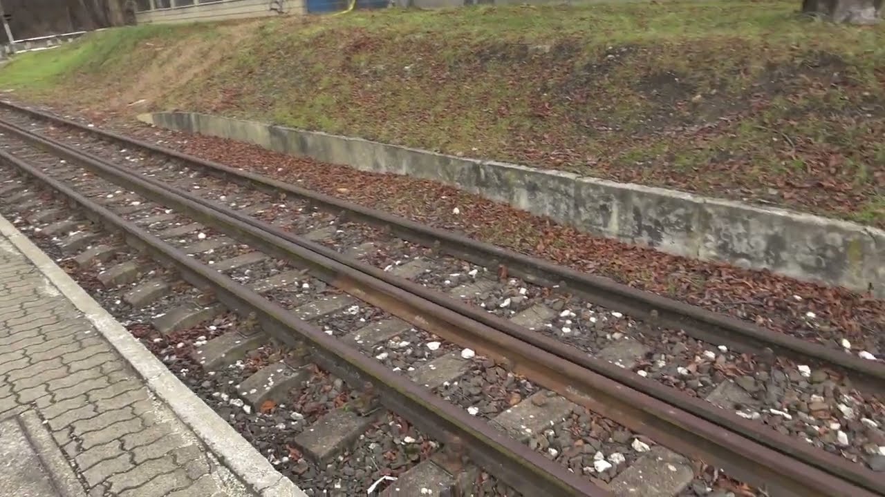2022.12.20 Vonalbejárás 1-es vonal régi nyomvonala Tata-Vértesszőlős
