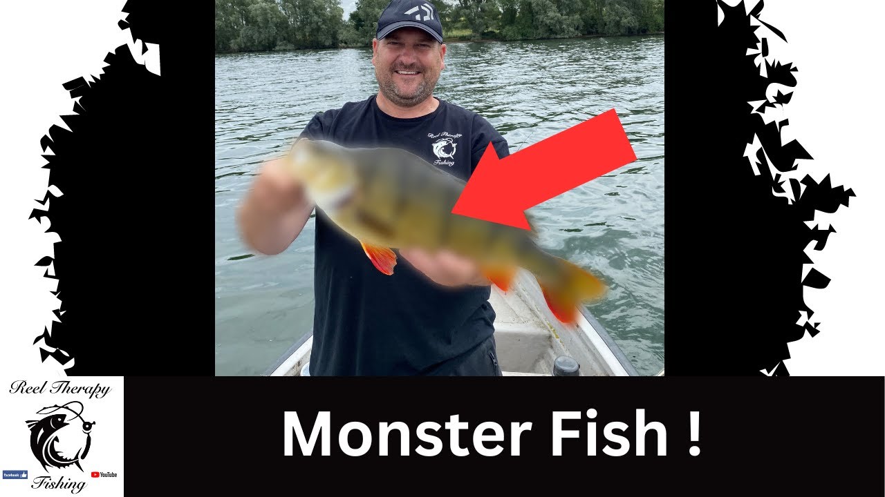 Monster Fish Caught In a Reservoir | Hanningfield Fisheries