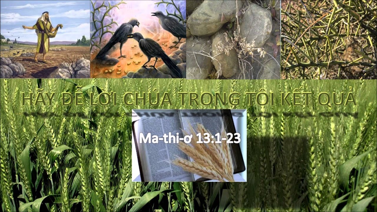 Hãy Để Lời Chúa Kết Quả Trong Tôi - Mục sư Nguyễn Phi Hùng