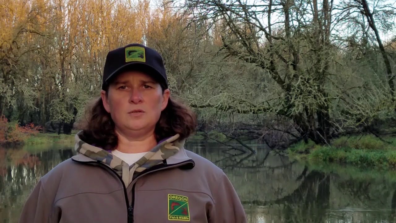 Sauvie Island Wildlife Area Hunt Update Dec. 5, 2017