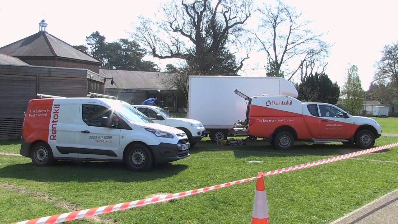 What it's like to work as a Rentokil Pest Control Surveyor?