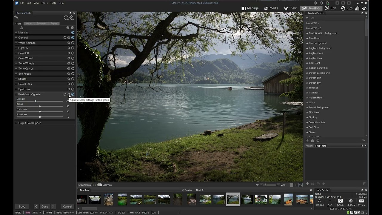 Vignette Preset Bug ACDSee Ultimate 2026