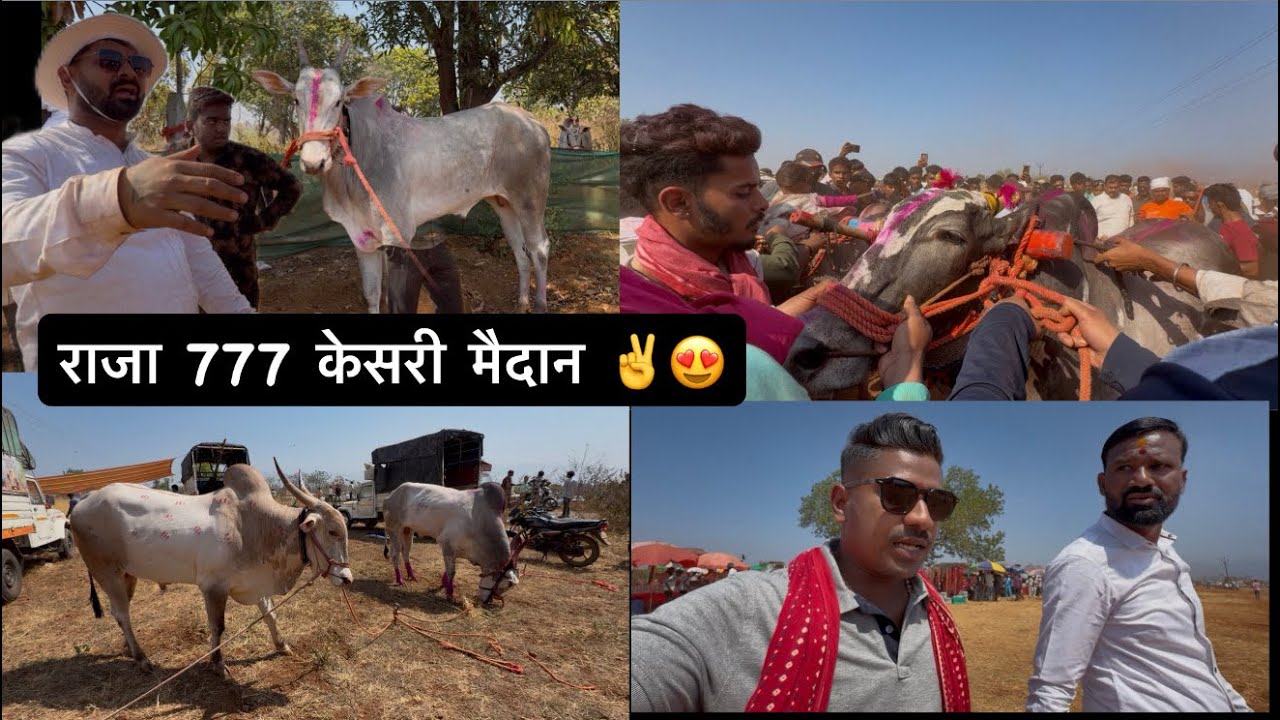 Vlog 792 | मिलिंद शेट ची नवीन खरेदी 😍 | राजा 777 केसरी ✌️ | Bailgada Sharyat | Nayan Katekar Vlogs |